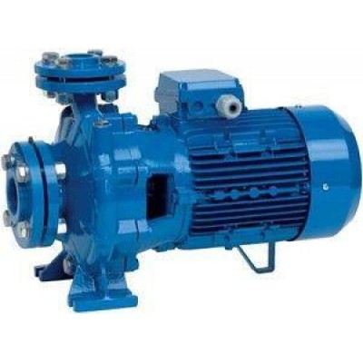 Моноблочный насос Speroni CS 50-160 D